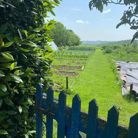 Le Repaire De La Reveuse Saint-Frajou