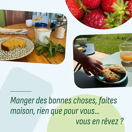 Le Repaire De La Reveuse Bed & Breakfast Saint-Frajou