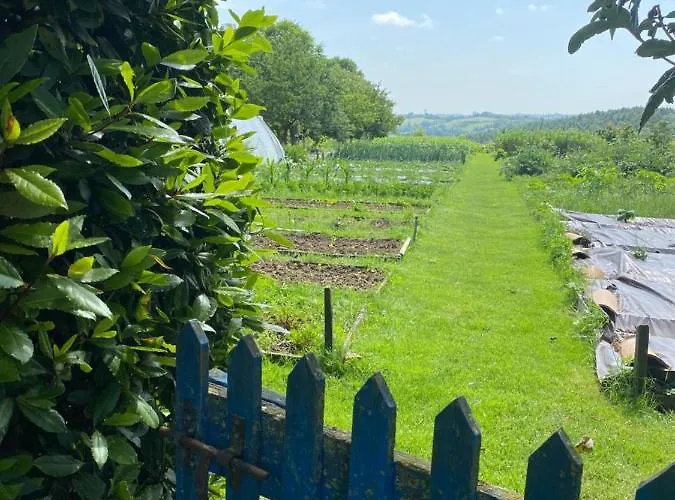 Le Repaire De La Reveuse Saint-Frajou